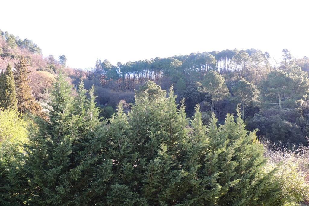 Les Chataigniers Appartement Meuble Saint Sebastien d'Aigrefeuille Εξωτερικό φωτογραφία