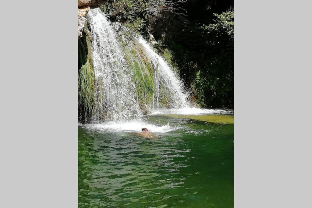 Les Chataigniers Appartement Meuble Saint Sebastien d'Aigrefeuille Εξωτερικό φωτογραφία