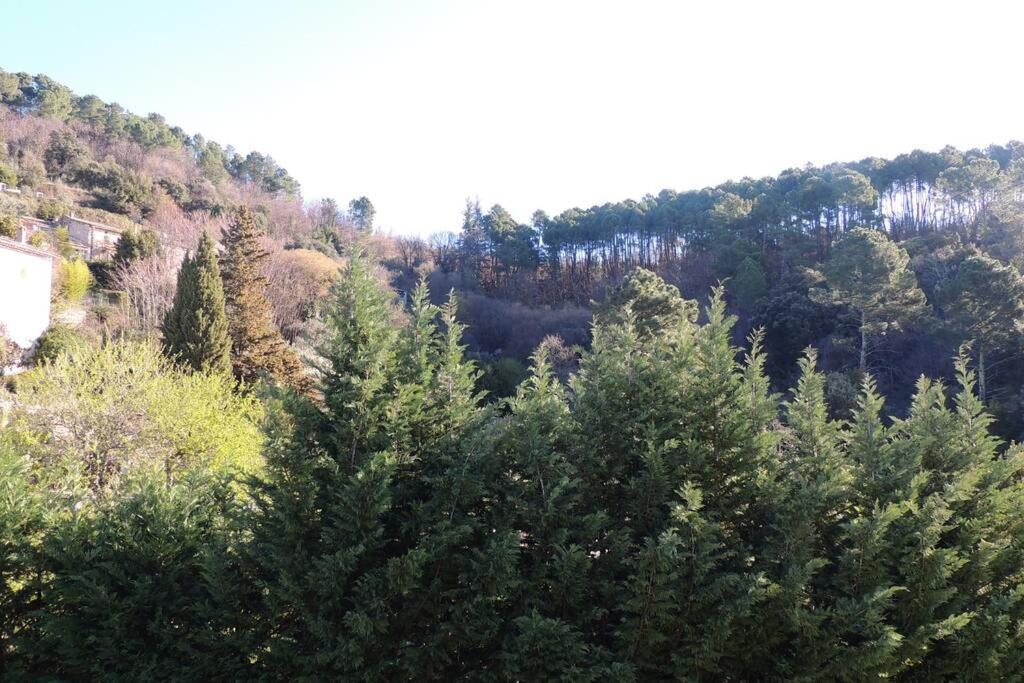 Les Chataigniers Appartement Meuble Saint Sebastien d'Aigrefeuille Εξωτερικό φωτογραφία