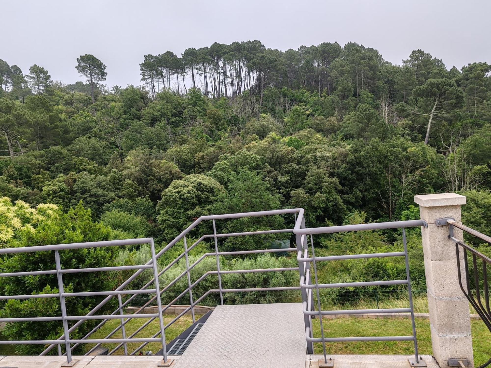 Les Chataigniers Appartement Meuble Saint Sebastien d'Aigrefeuille Εξωτερικό φωτογραφία